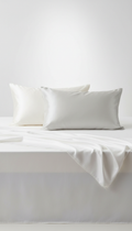 Sleepora Mulberry Silk Pillowcase Duo, front view on neutral background